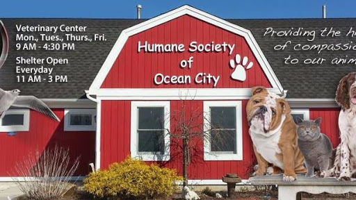 Animal Shelter «Humane Society of Ocean City», reviews and photos, 1 Shelter Rd, Ocean City, NJ 08226, USA