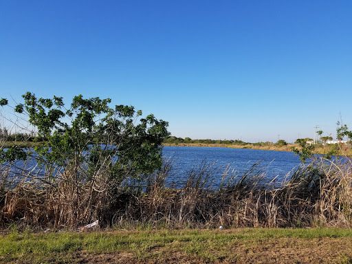 Car Dealer «Gateway Classic Cars Tampa», reviews and photos, 351 30th St NE, Ruskin, FL 33570, USA