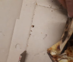 Del Forno Witpoortjie photo
