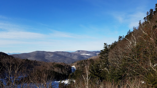 Variety Store «FYE», reviews and photos, 155 Dorset St, South Burlington, VT 05403, USA