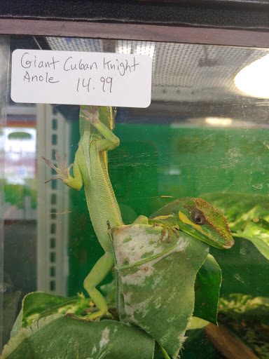 Tropical Fish Store «Tropi-Quatics Pet Center», reviews and photos, 337 S Main St, Lombard, IL 60148, USA