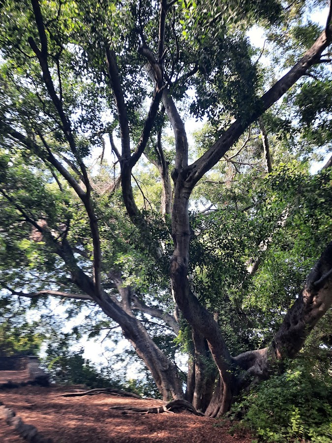 Salida Rambla del Castro