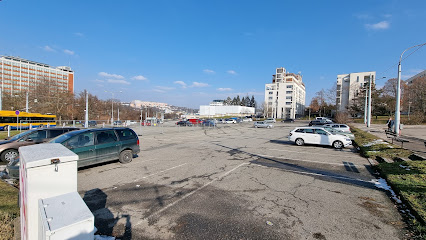 Parkoviště Březnická
