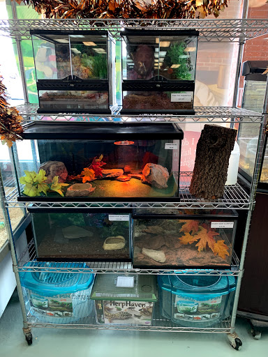 Pet Store «Wet Pets N Critters», reviews and photos, 103 TX-281 Loop, Longview, TX 75605, USA