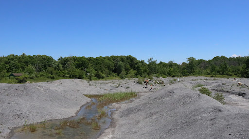 Nature Preserve «Penn Dixie Fossil Park & Nature Reserve», reviews and photos, 4050 North St, Blasdell, NY 14219, USA