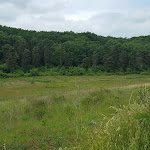 Photo n°4 de l'avis de Gion.a fait le 17/05/2017 à 06:12 sur le  Oasi Hunt Club Tenuta Insuese à Collesalvetti