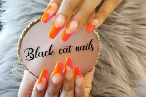 Black Cat Nails image