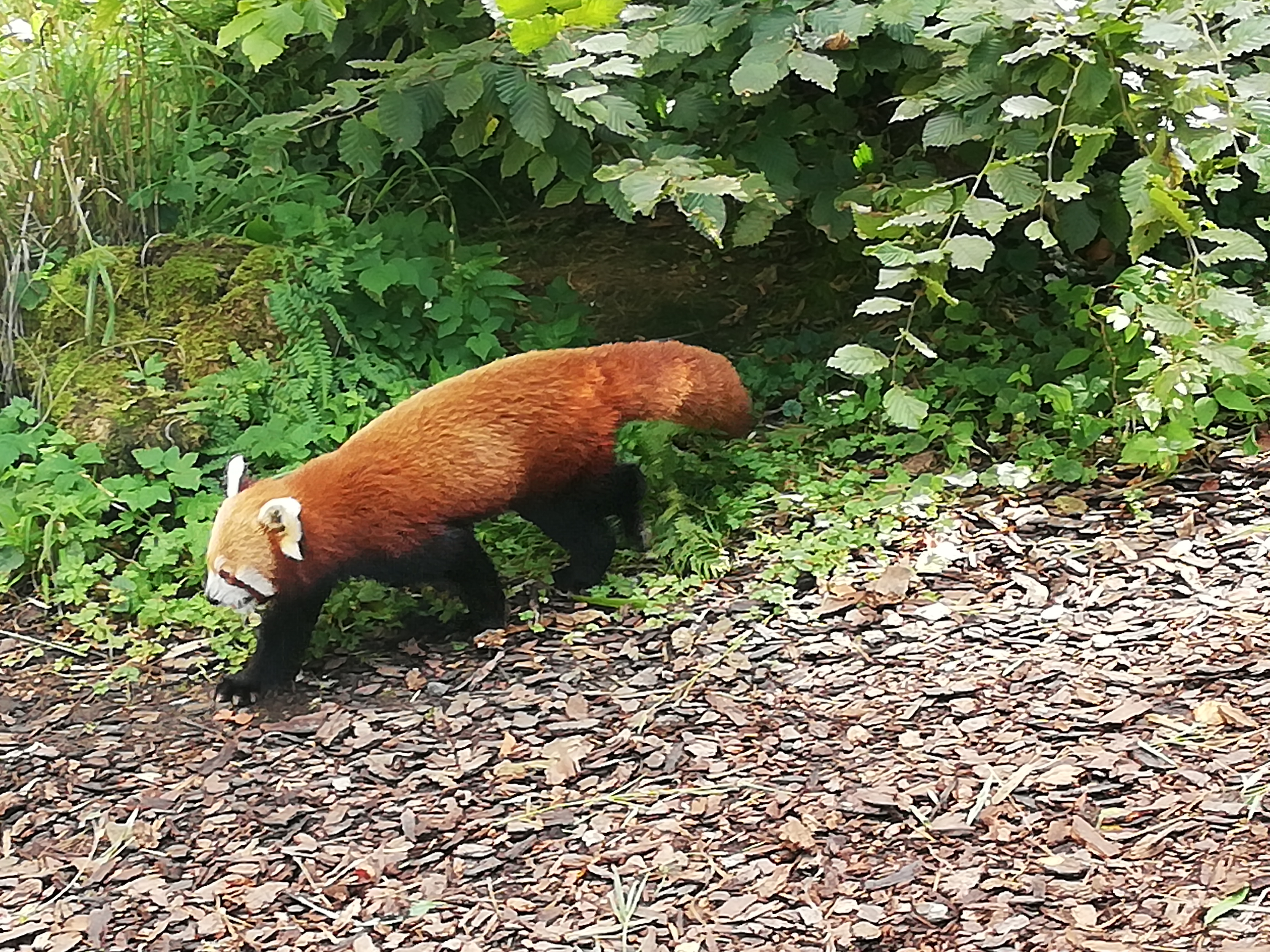 Photo n° 12 de l'avis de Jérôme.r fait le 09/10/2021 à 23:59