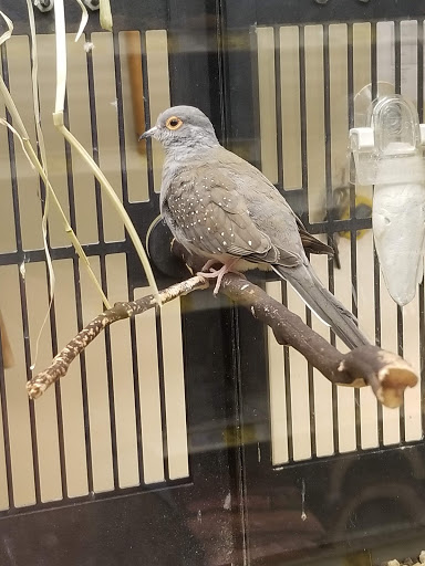 Pet Supply Store «PetSmart», reviews and photos, 3803 Venture Dr, Duluth, GA 30096, USA