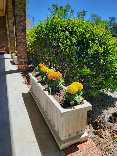 Garden Center «The Plant Place», reviews and photos, 6114 Market St, Wilmington, NC 28405, USA