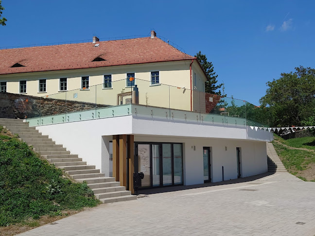 Pásztói Múzeum - Múzeum