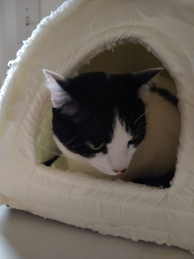 Home Improvement Store «The Home Depot», reviews and photos, 3220 Denmark Ave, Eagan, MN 55121, USA