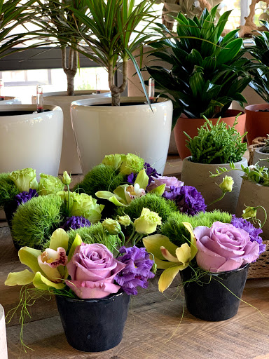 Florist «Red Square Flowers», reviews and photos, 337 W Mifflin St, Madison, WI 53703, USA