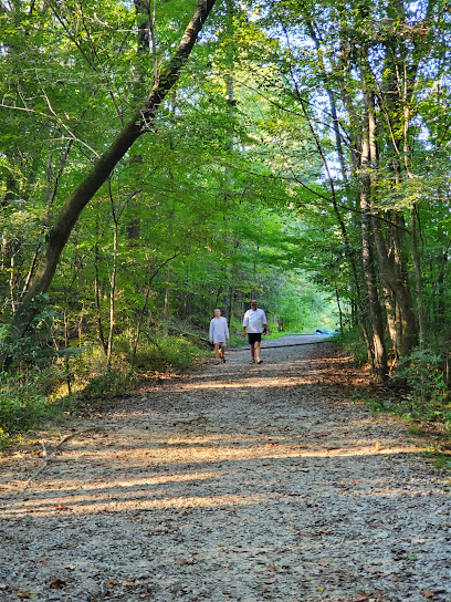 Cedar Creek Canoe Launch / Kingsnake Trailhead at Congaree National Park