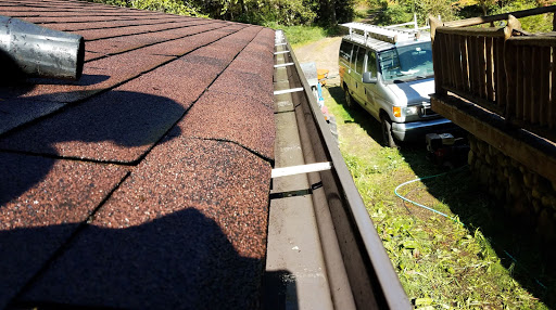 father and son window and gutter cleaning in Gig Harbor, Washington