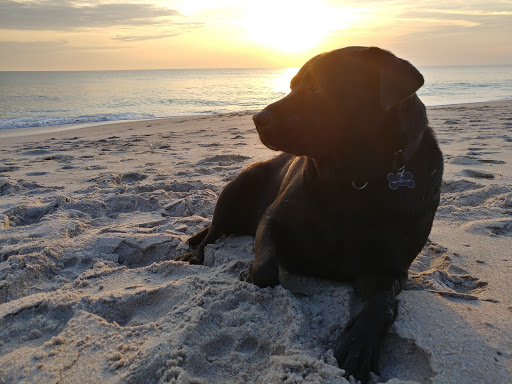 10506 Metropolitan Ave, Flushing, NY 11375, USA