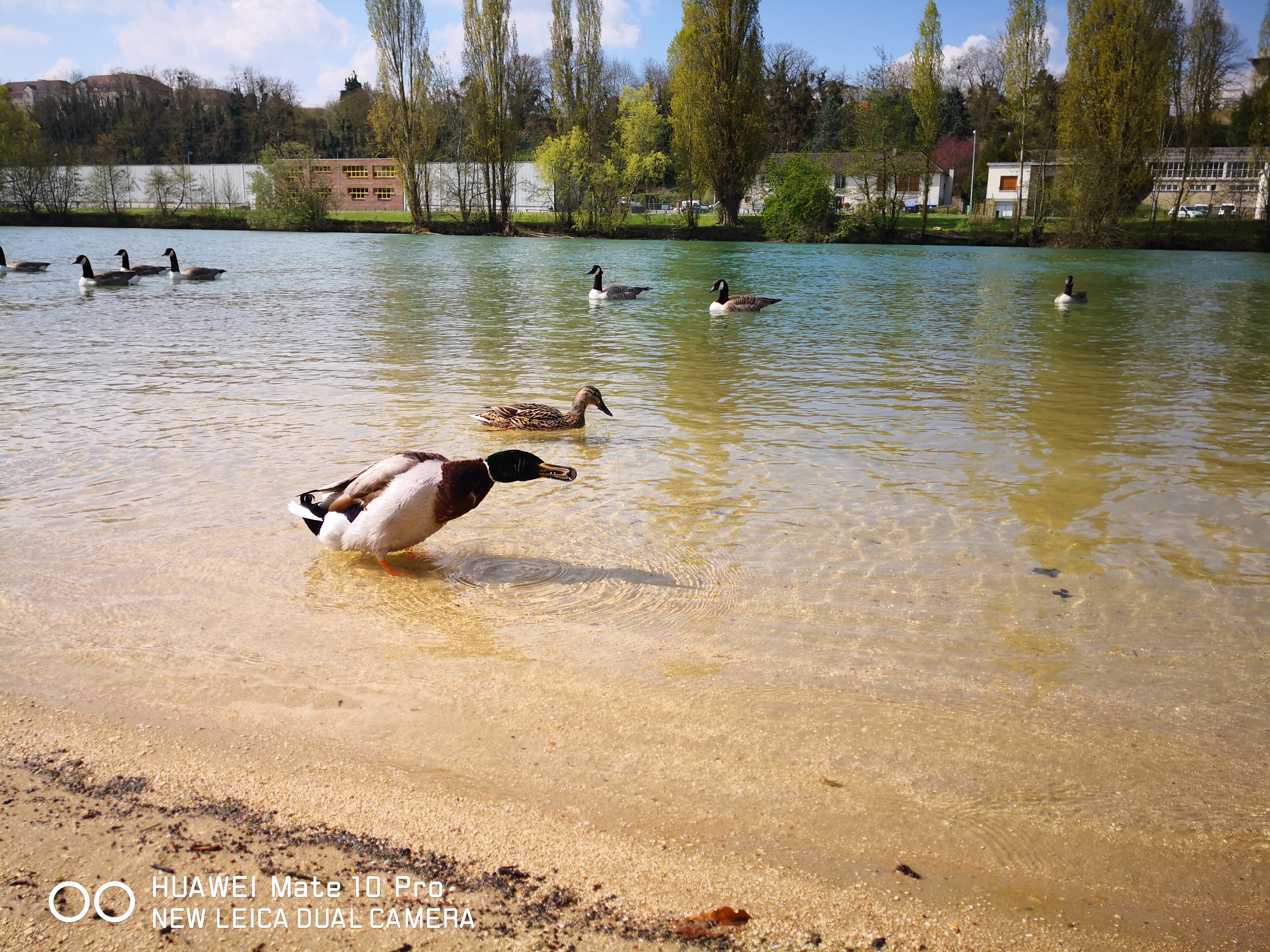 Photo n° 2 de l'avis de John.e fait le 13/04/2019 à 13:12