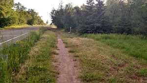 Enger Trail & Observation Hill Trailhead - photo 71