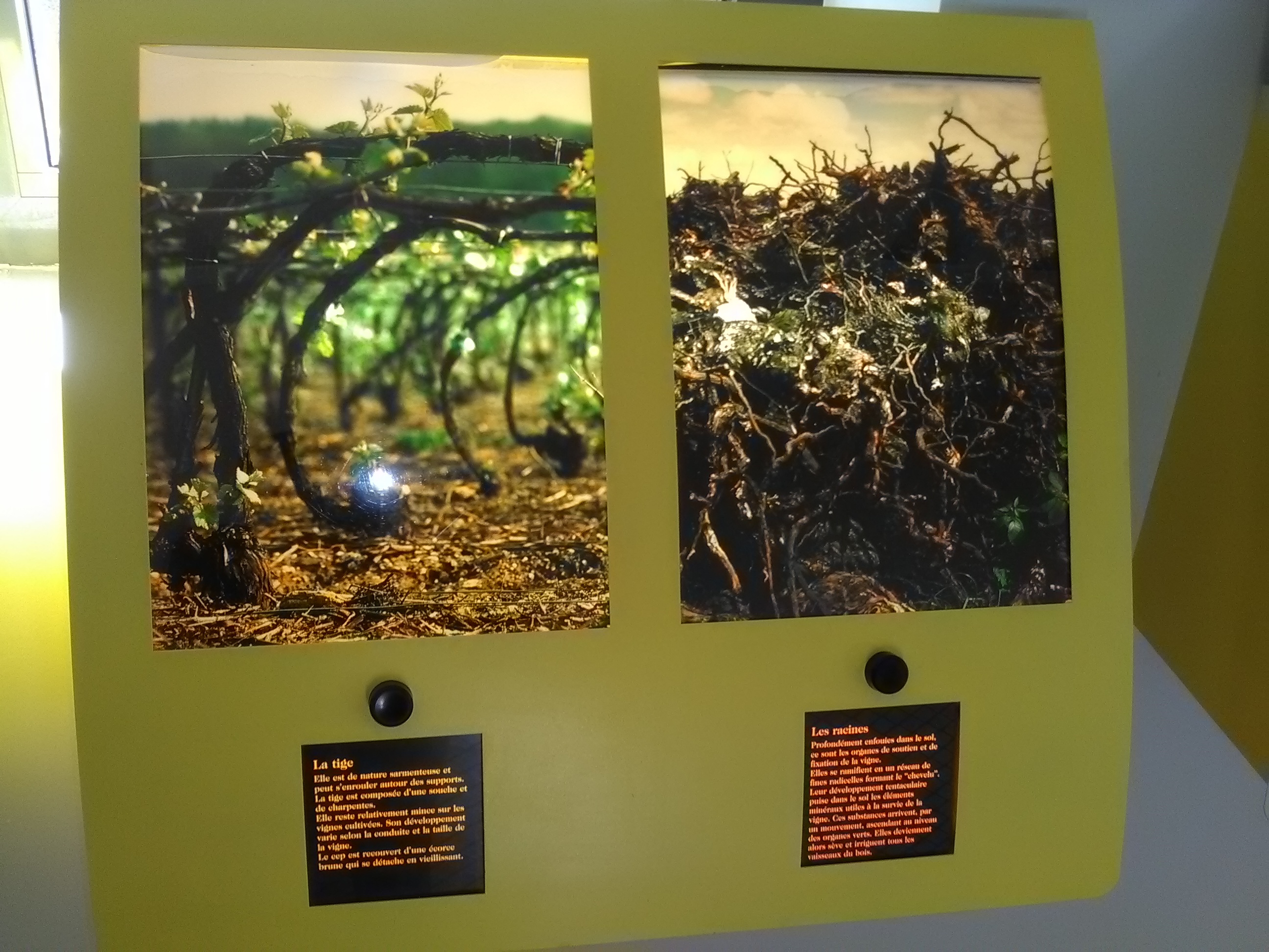 Photo n° 22 de l'avis de Athéna.e fait le 15/08/2017 à 06:29