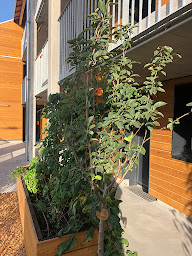 Photo n°119 de Eklo Hotel Bordeaux Centre Bastide à Bordeaux ()