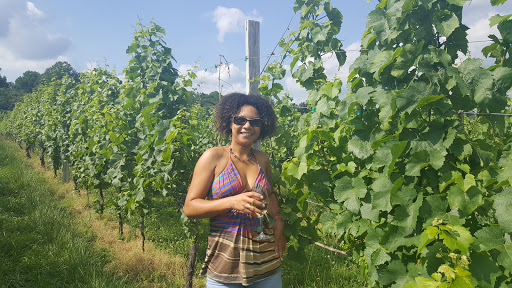 Vineyard «Linden Vineyards», reviews and photos, 3708 Harrels Corner Rd, Linden, VA 22642, USA
