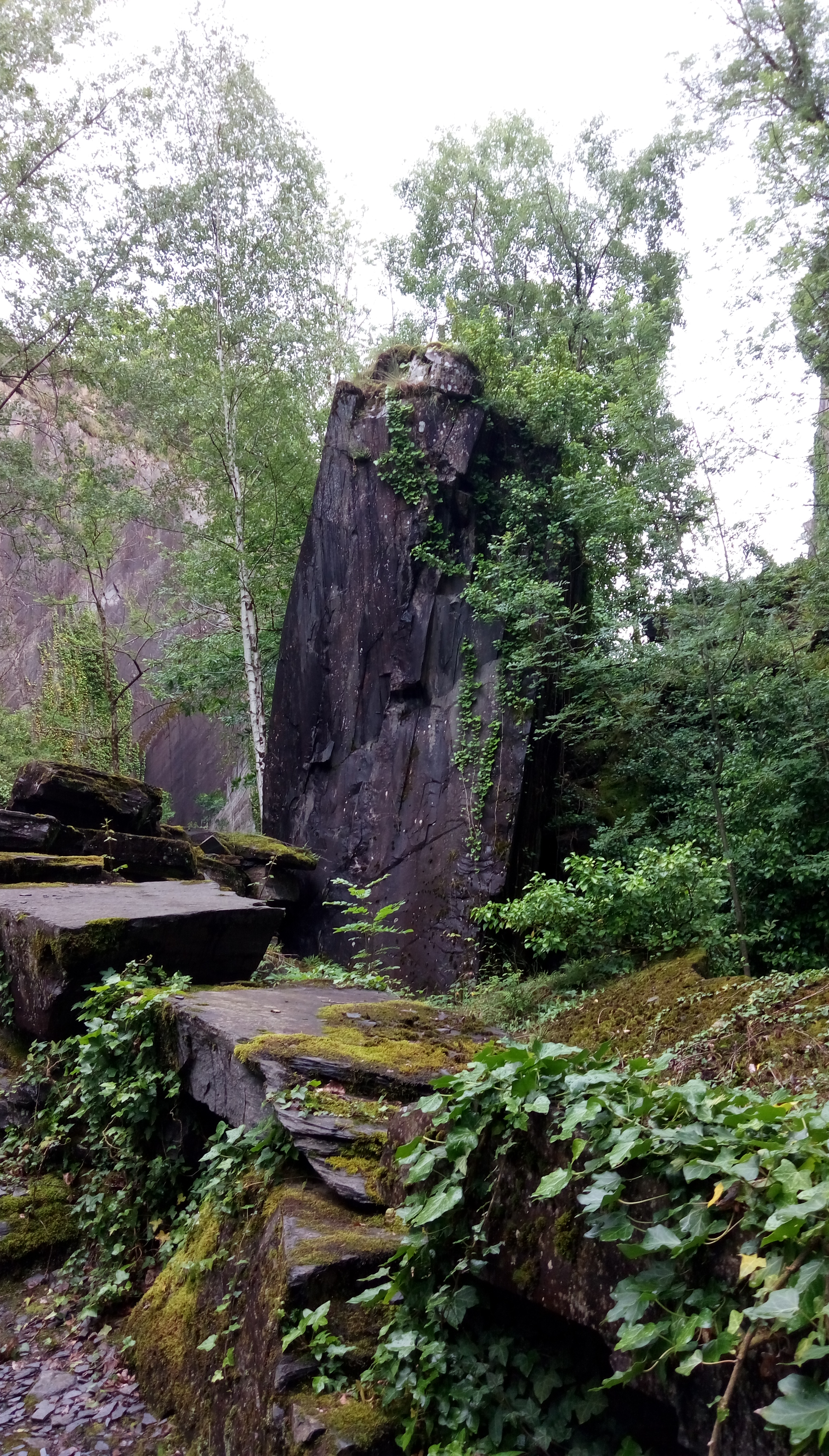 Photo n° 8 de l'avis de véronique.u fait le 13/06/2019 à 11:34