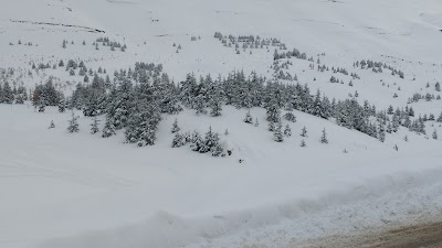 Photos of St. Antoine - Restaurant