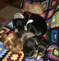 Able Pet Services llc - Photo 2 - Car repair in , Tacoma