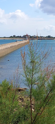 Saint-Vaast-la-Hougue TC Val de Saire à Quettehou
