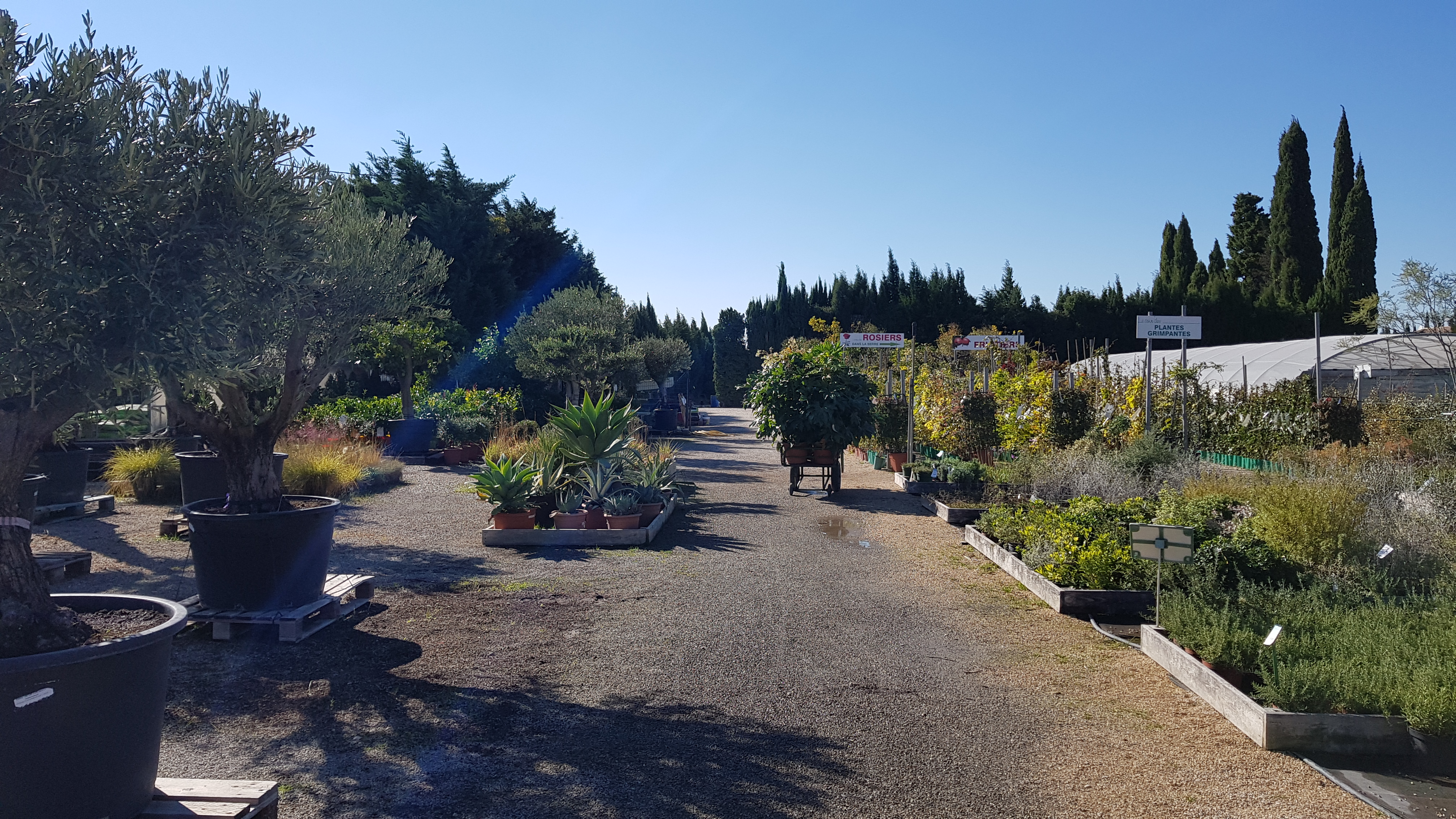 Photo n° 6 de l'avis de Lil.l fait le 17/10/2020 à 15:26