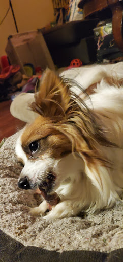 Pet Supply Store «Pet Pros», reviews and photos, 10304 Lake City Way NE, Seattle, WA 98125, USA