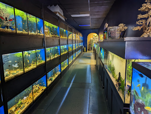 Pet Store «Olathe Pet Shop», reviews and photos, 16651 151st St, Olathe, KS 66062, USA