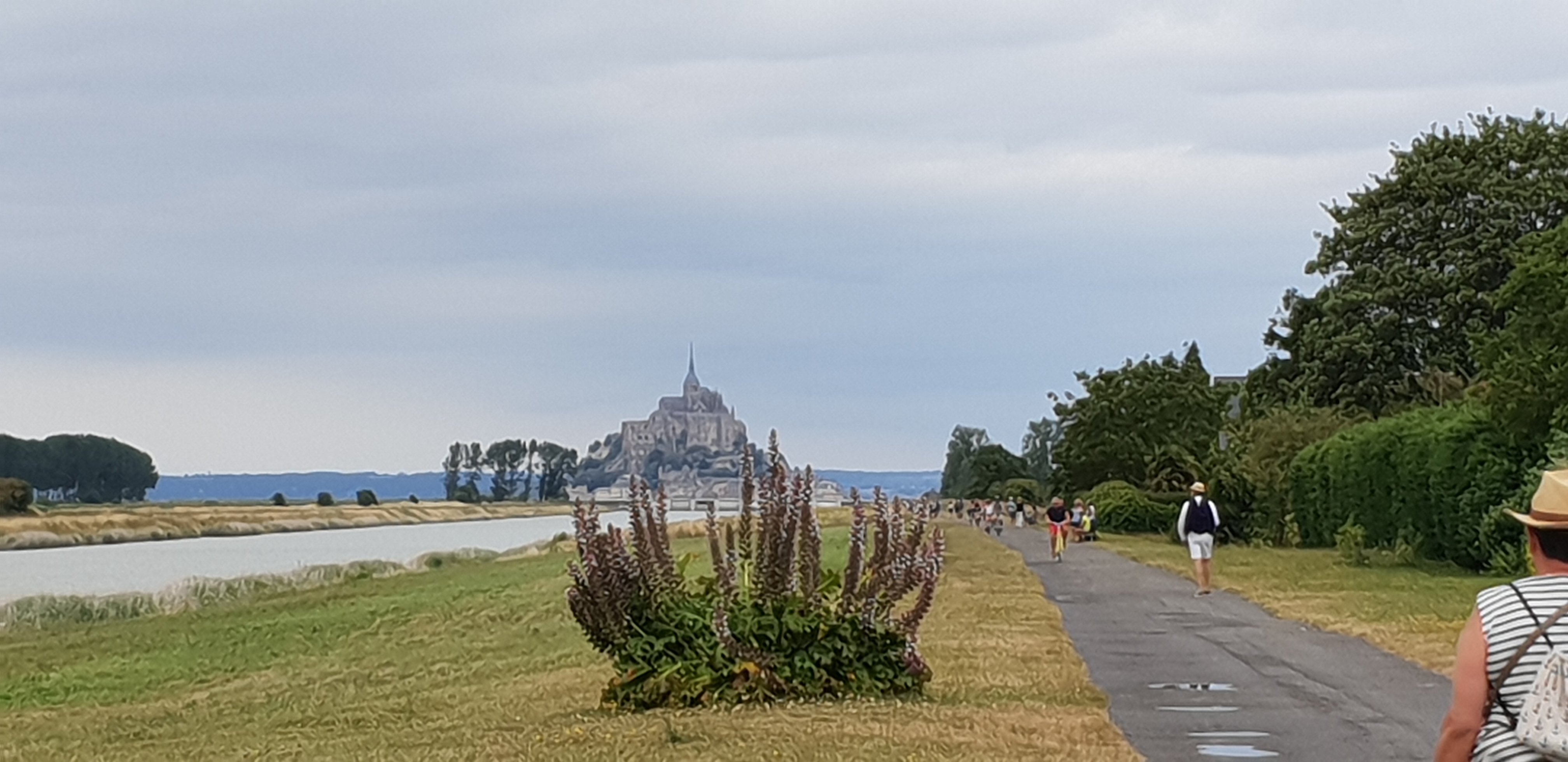 Photo n° 1 de l'avis de Toune. fait le 21/07/2019 à 07:57