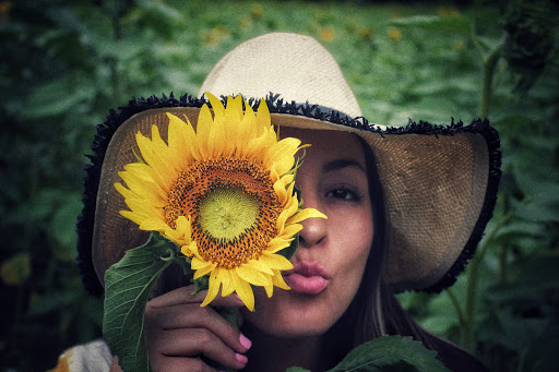 Tourist Attraction «Sussex County Sunflower Maze», reviews and photos, 101 Co Rd 645, Sandyston, NJ 07826, USA