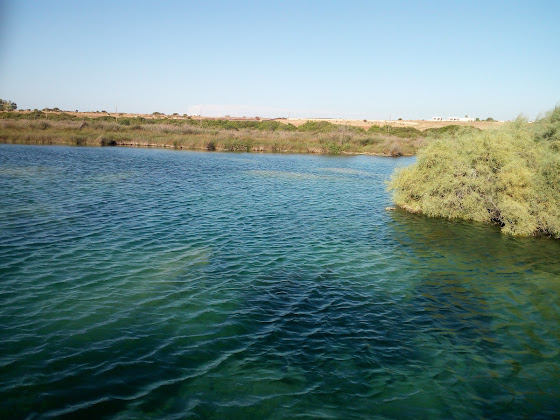 Photos des visiteurs Bed & Breakfast Villa Musella 73010 Porto Cesareo