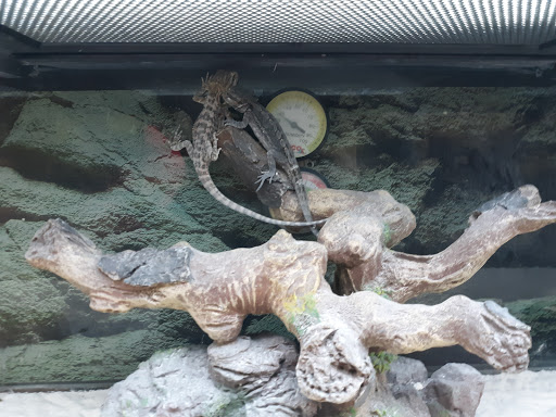 Pet Supply Store «Petco Animal Supplies», reviews and photos, 1960 Edinboro Rd, Erie, PA 16509, USA