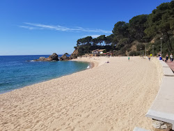 Foto di Platja de Fenals area servizi