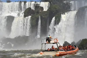 Iguazu Jungle image