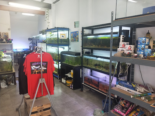 Colors Aquariofilia - Tavernes de la Valldigna