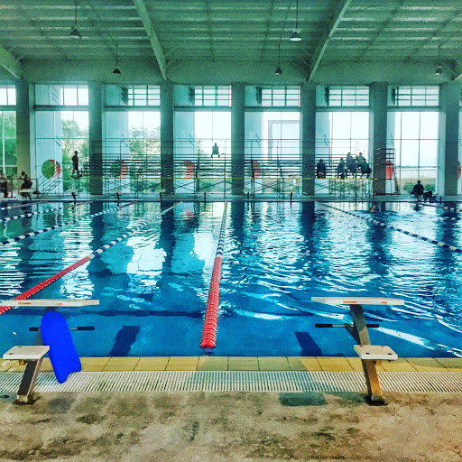 Competencia de natación Reynosa