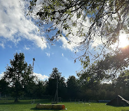 Welpenschule - Bremen photo