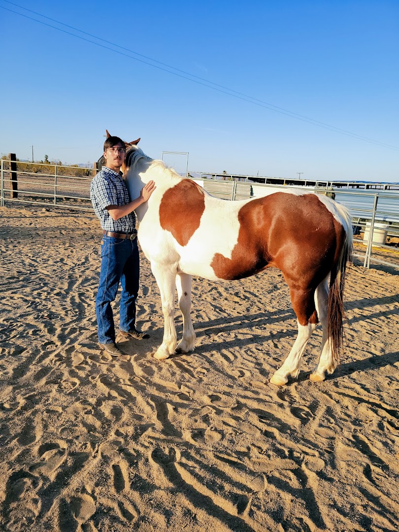 White Rock Horse Rescue