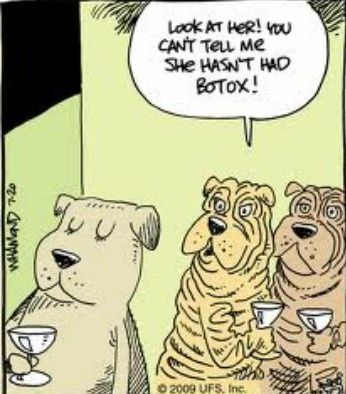 Spa «Sea Spa Steilacoom», reviews and photos, Sea Spa Steilacoom, 215 Wilkes St, Steilacoom, WA 98388, USA