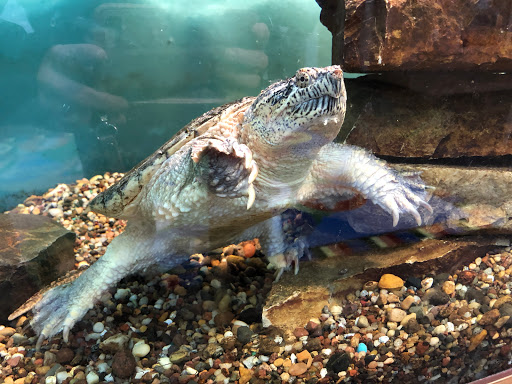 Park «Coon Rapids Dam Regional Park», reviews and photos, 10360 W River Rd, Brooklyn Park, MN 55444, USA