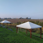 Photo n°9 de l'avis de Daniela.o fait le 11/11/2019 à 06:18 sur le  Agriturismo La Cantina dei Sapori à Monte San Pietro