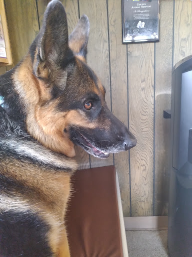 Golden Animal Hospital image