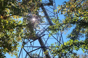 Razorback Tower image