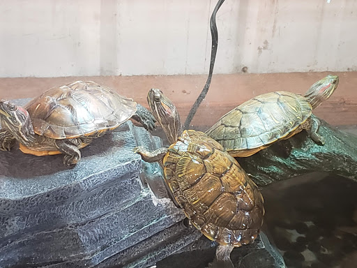 Pet Supply Store «Valley Feed», reviews and photos, 1486 Freedom Blvd, Watsonville, CA 95076, USA