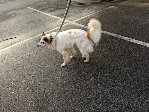 Pet Supply Store «Petco Animal Supplies», reviews and photos, 135 Crooked Run Plaza #10, Front Royal, VA 22630, USA