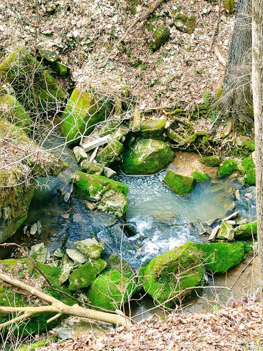 Park «Cave River Valley Park», reviews and photos, 6031-6871 N Cave River Valley Rd, Campbellsburg, IN 47108, USA